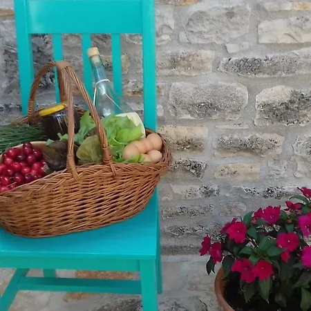 Apartment Authentic Istria&pet Friendly Banko Near Rovinj *