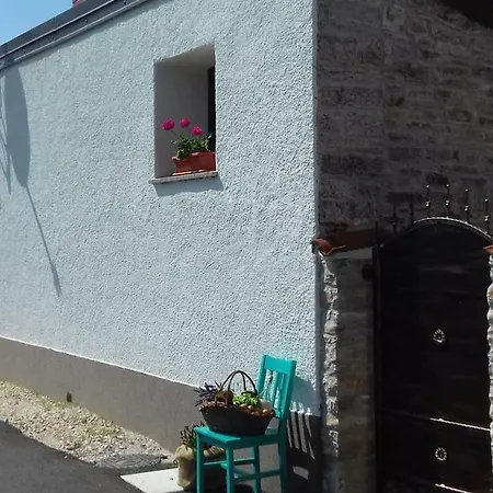 Authentic Istria&pet Friendly Banko Near Rovinj
