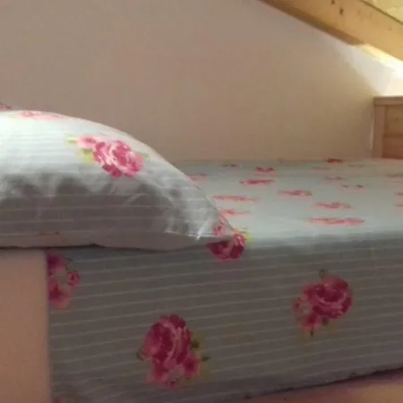 Authentic Istria&pet Friendly Banko Near Rovinj *